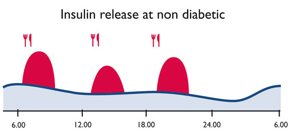 Insulinfreisetzung beim Nichtdiabetiker